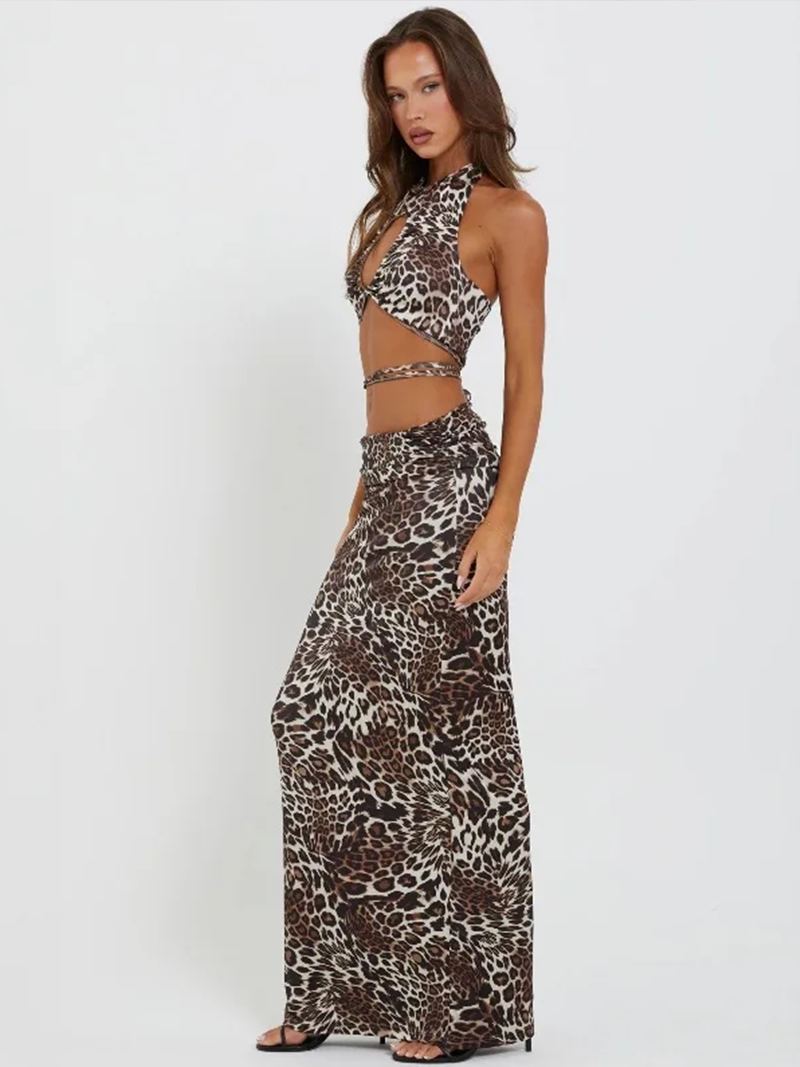 Leopard Print Two-Piece Set